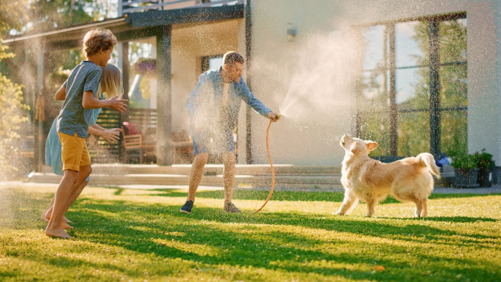 Ultimate Guide to Creating a Dog-Friendly Backyard - Discovery Homes Blog